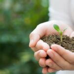 For some fresh air…