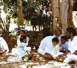 Education and Insight