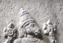 Does Hinduism worship cows and trees?