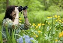 Bird watching classes