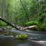 All seasons- A Letter