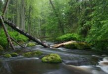 All seasons- A Letter