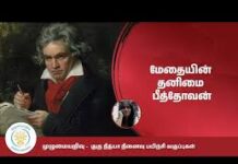 Beethovan as a pioneer