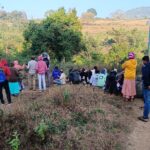 Reading Classes for children