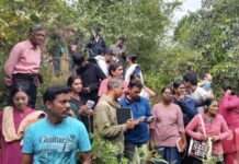 The Plants and The Children