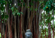 Bangalore Vishnupuram Circle