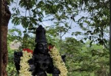 Anandavikatan articles