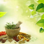 Is Ayurveda really useful?