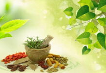 Is Ayurveda really useful?