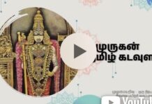 The God Politics